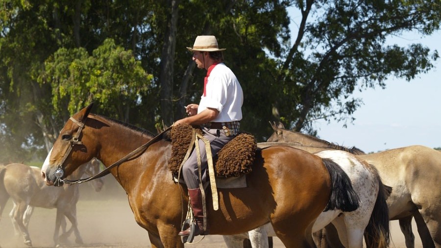 Meet the Argentinian Cowboy - Gauchos
