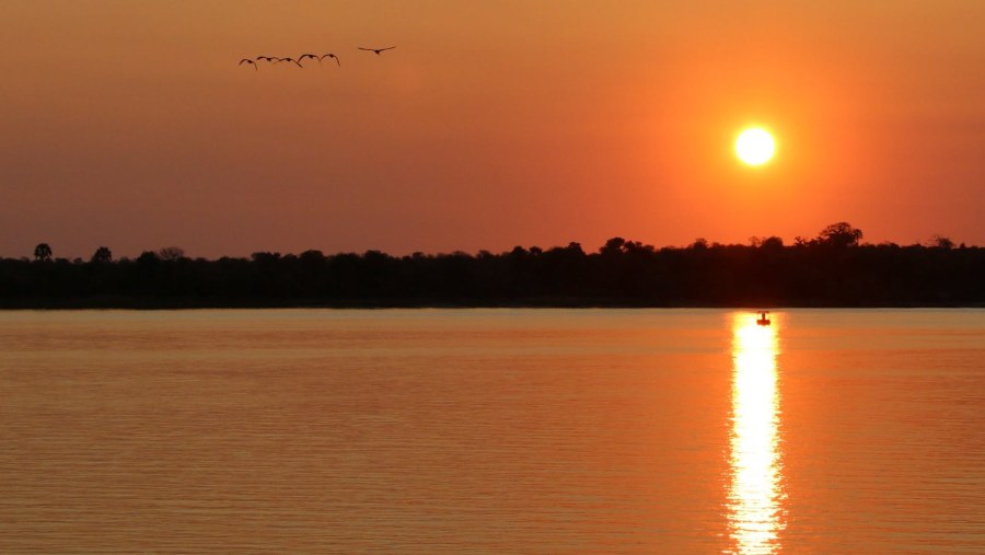 Enjoy sunset from the Zambezi River