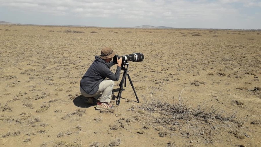 Ruaha Nationala Park Safari