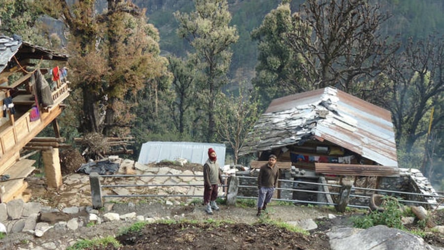 Local Houses