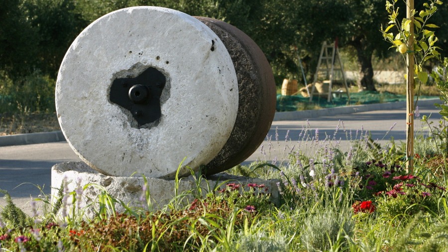 Olive Oil Factory, Greece