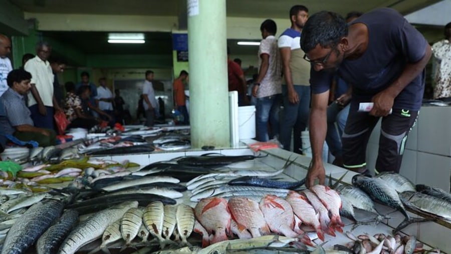 Fish Market in Maldives