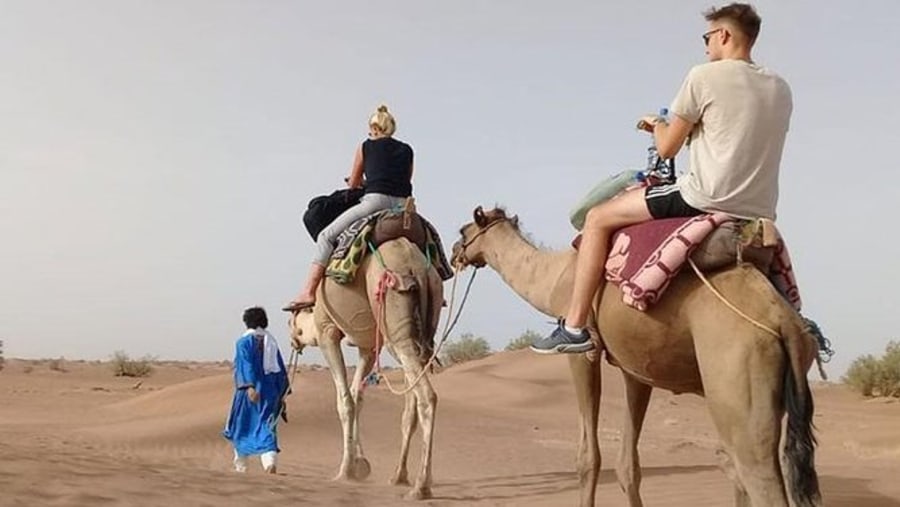 Camel ride from Campsite