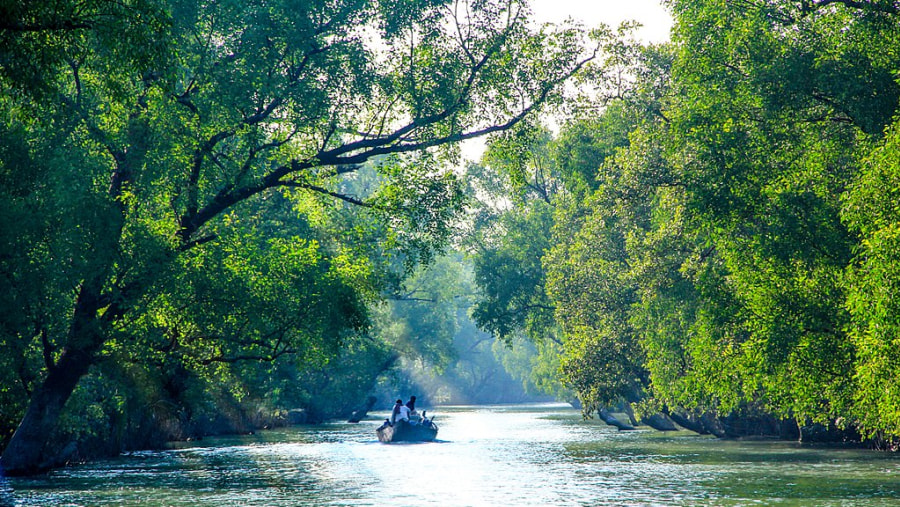 Sundarbans Mangrove Forest