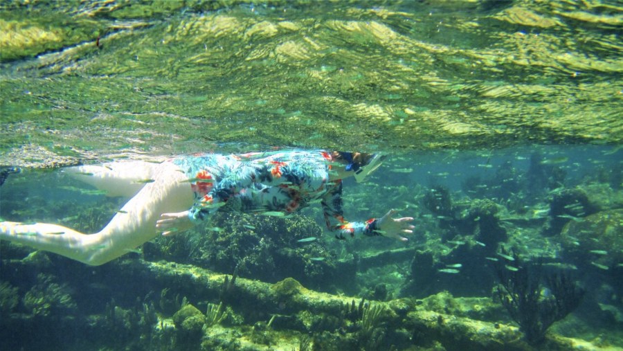 Snorkelling on Roatan Island