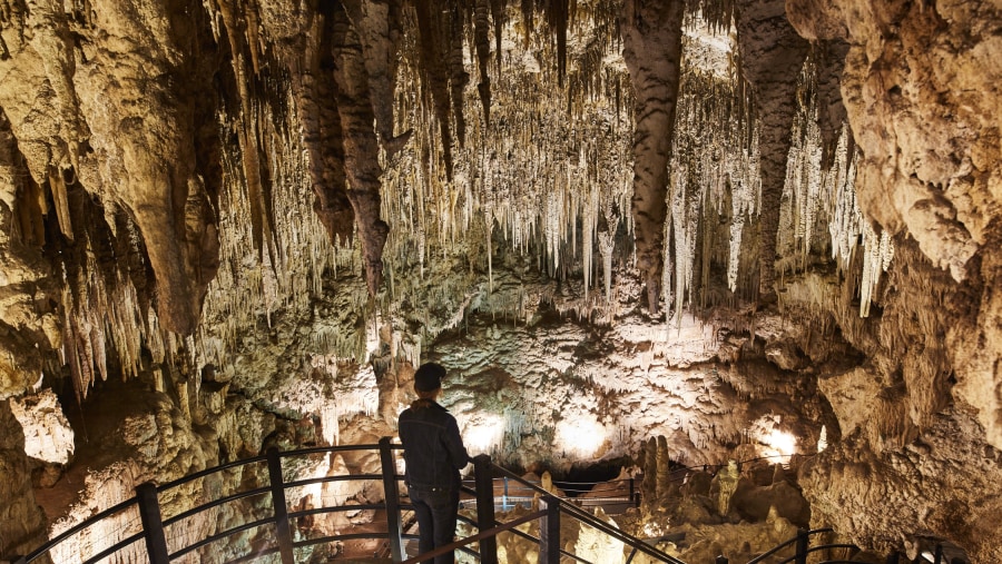 Ngilgi Cave, Australia