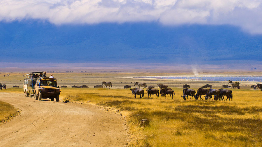 Crater Floor Area, Ngorongoro Crater, Tanzania