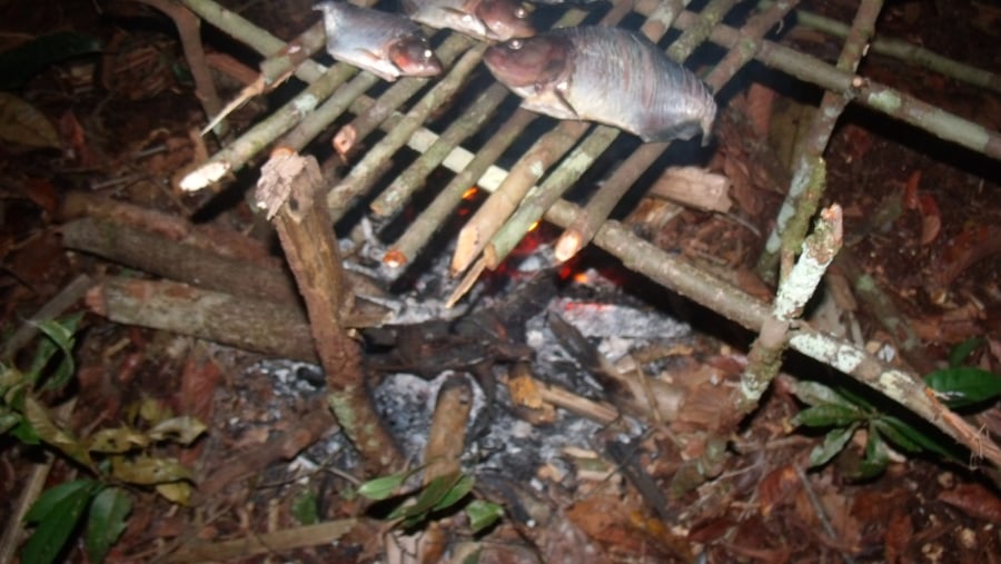 Roasting the fresh catch in the Camp