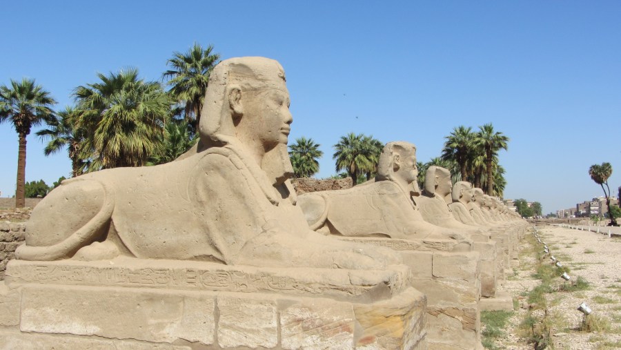 Sphinx Alley between Luxor- and Karnak Temple