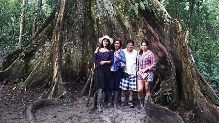 Ceiba Tree