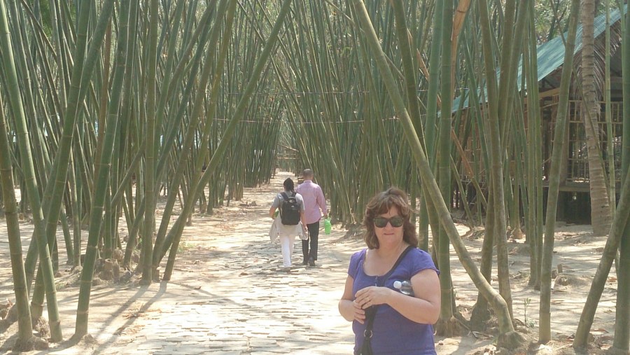 Walking through the Bamboo Forest