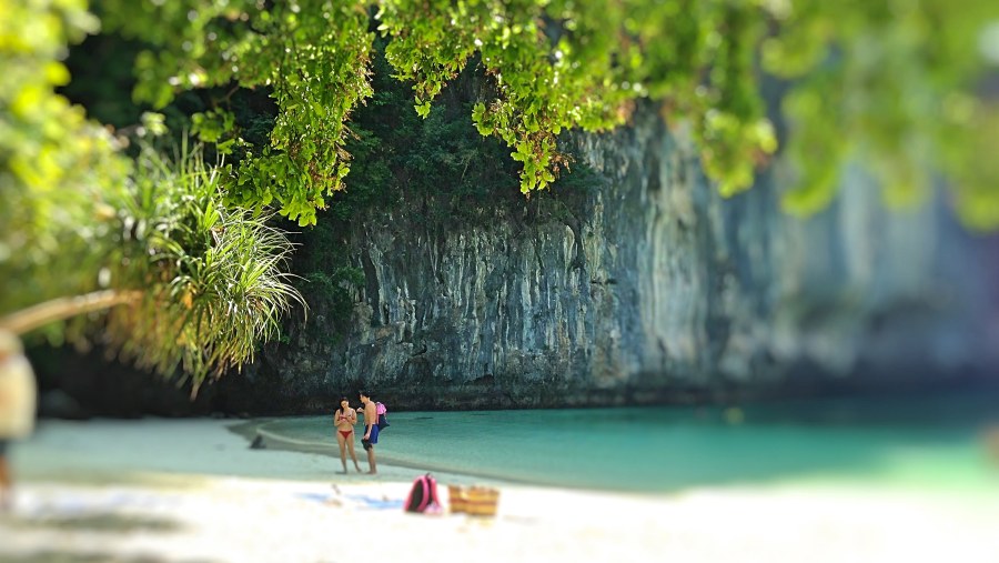 Exploring the Beach