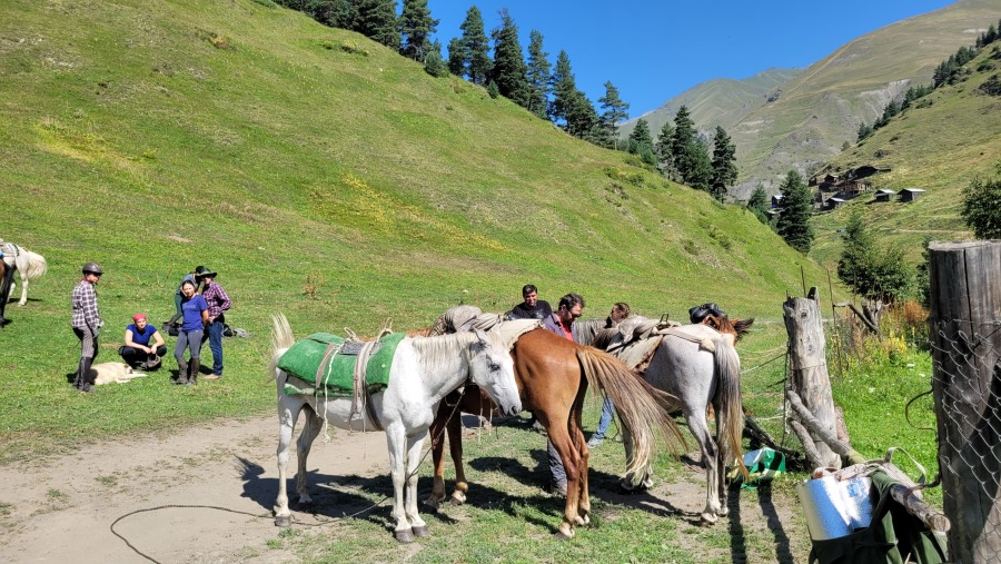 Horse riding in Tusheti
