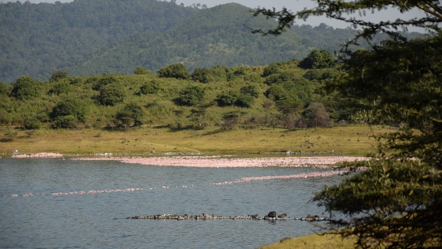 Arusha National Park