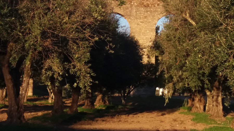 Água da Prata Aqueduct