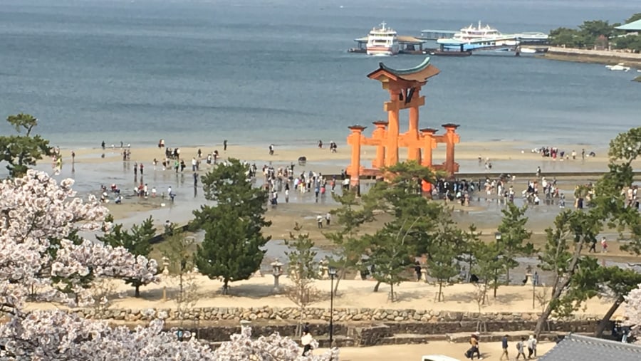 Itsukushima Torii Gate 