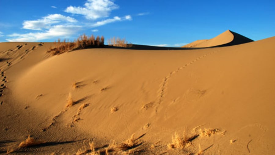 Sand dunes