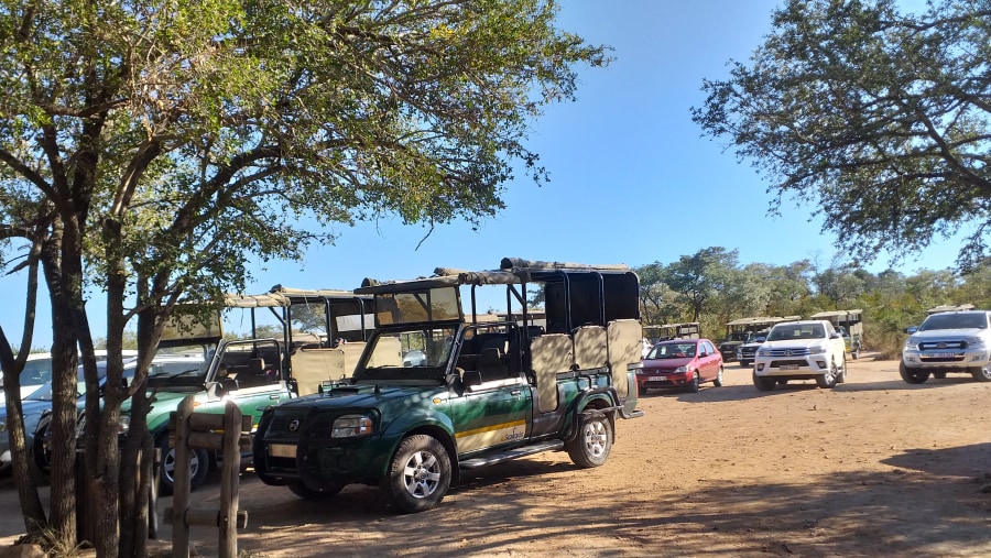 Jeeps for safari