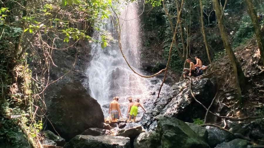 A waterfalls in the jungle 