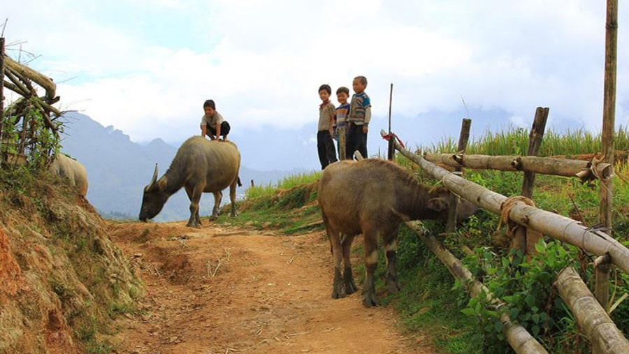 Local kids in the village