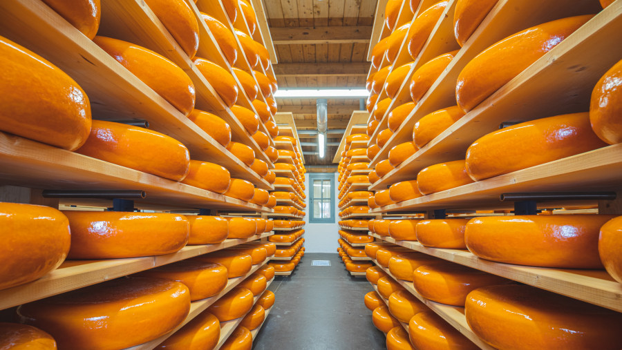 Gouda - Gouda Cheese Experience