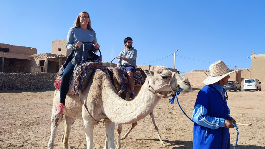 Camel Ride