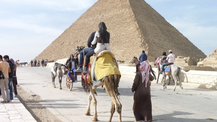 Camel/Horse Safari At Giza Pyramid Complex, Egypt