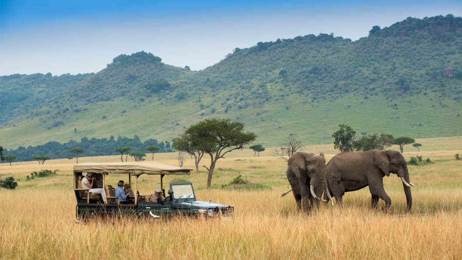 Masai Mara Jeep Safari