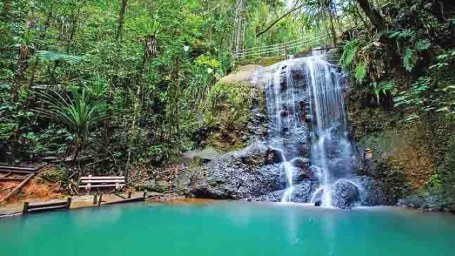 Colo-I-Suva Nature Reserve