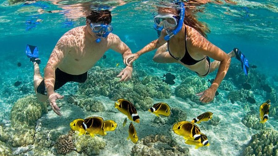 Snorkeling in the Sea