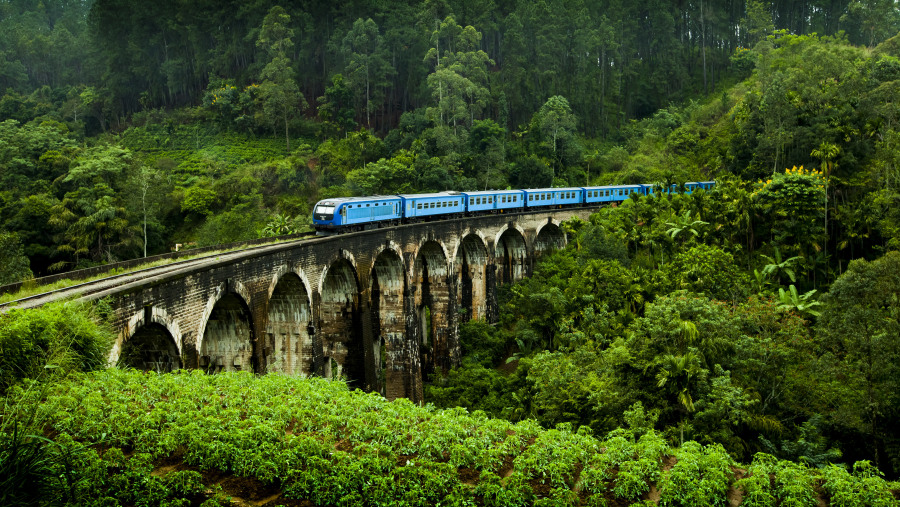 Scenic Train Ride to Nuwara Eliya