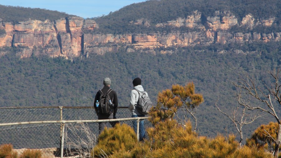 Blue Mountains