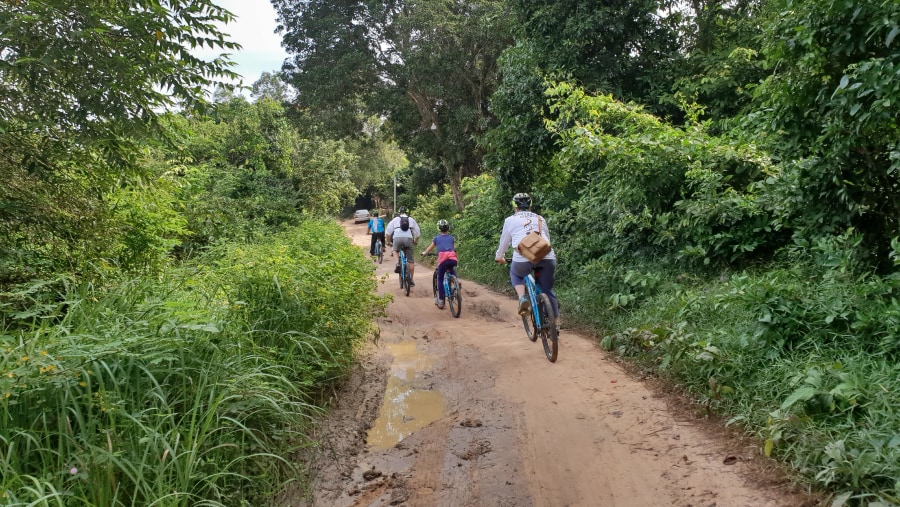 Cycle through the forest area.