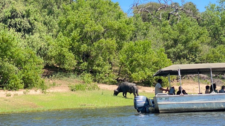 Boat Cruise at Chobe National Park