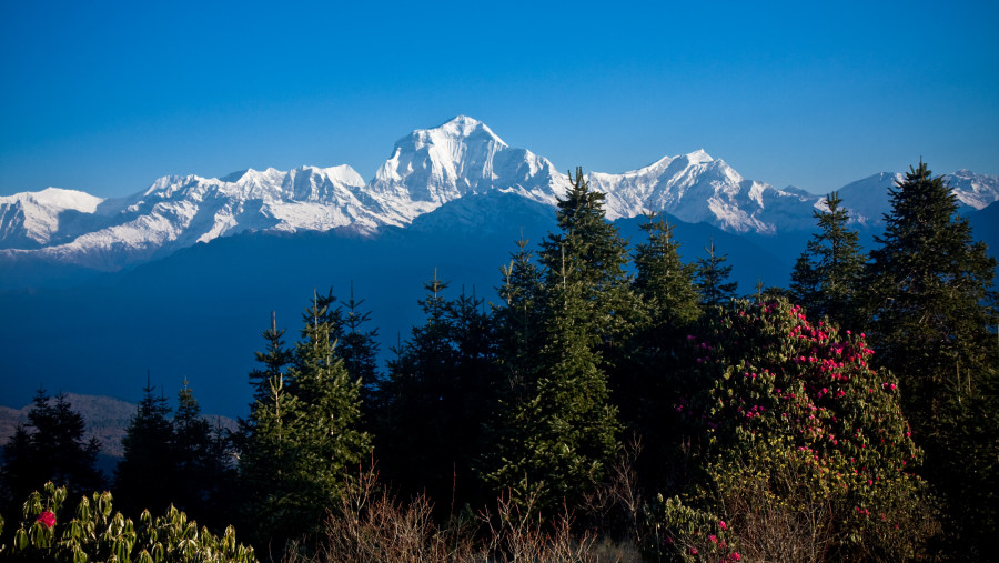 Himalayan Range