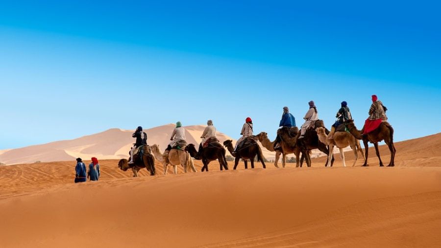Camel Rides in the dunes of Merzouga