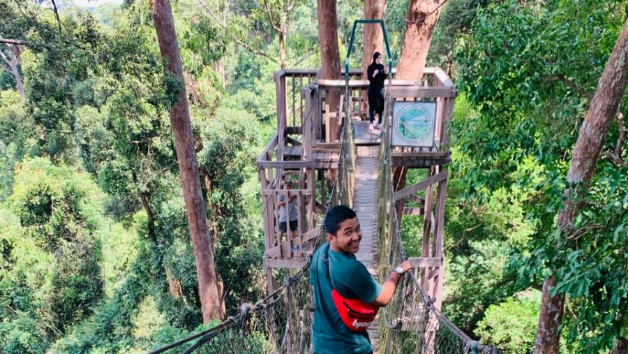 Cross the Canopy Bridge in Bukit Bangkirai