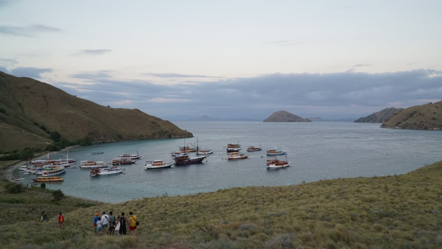 Labuan Bajo Harbor