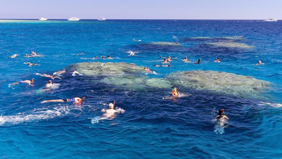 Snorkel and swim in the beautiful blue waters of Egypt