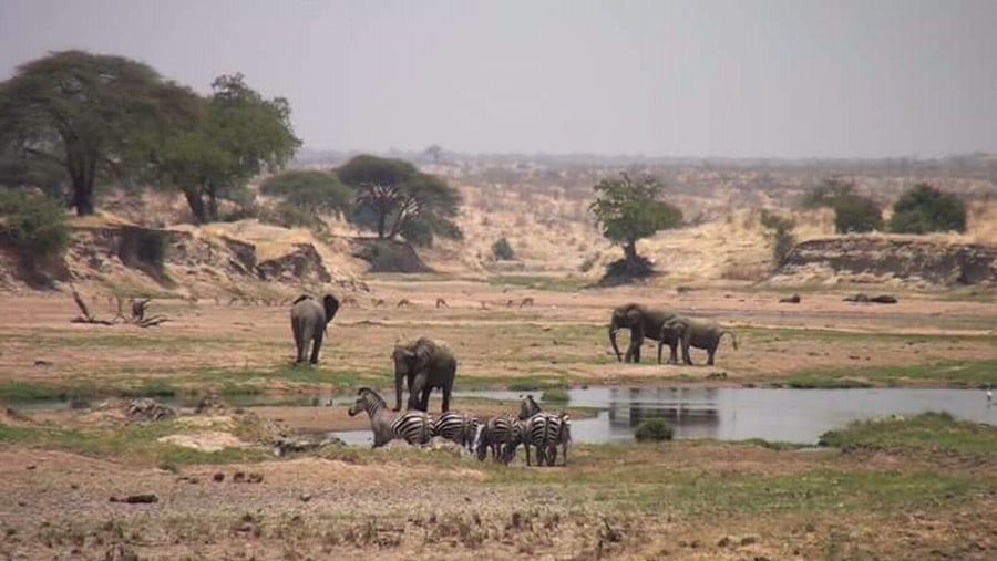 Chobe National Park