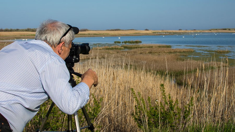 Bird-watching in Oman