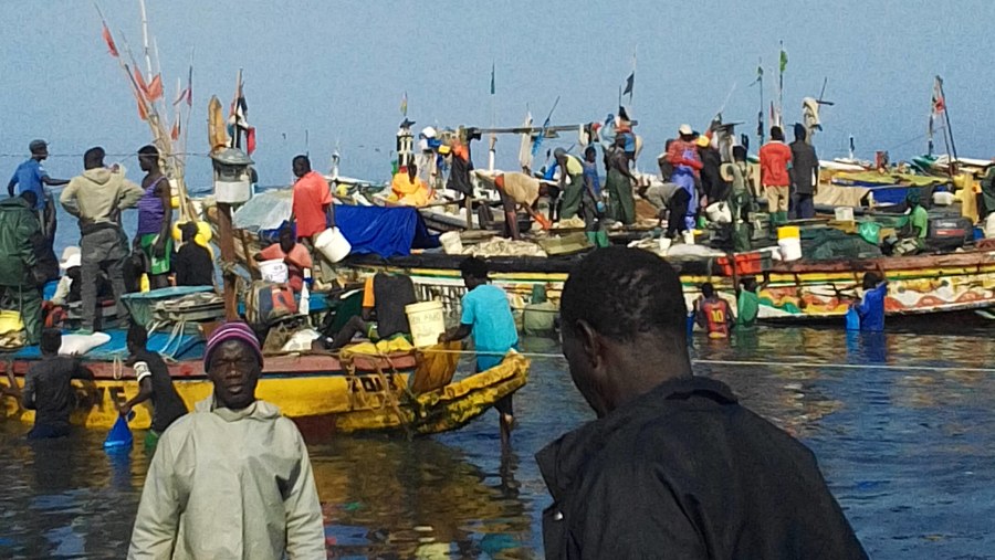 Fishing Harbour