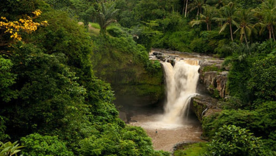 Tegenungan Waterfall