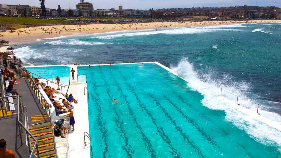 Bondi Icebergs Swimming CLUB