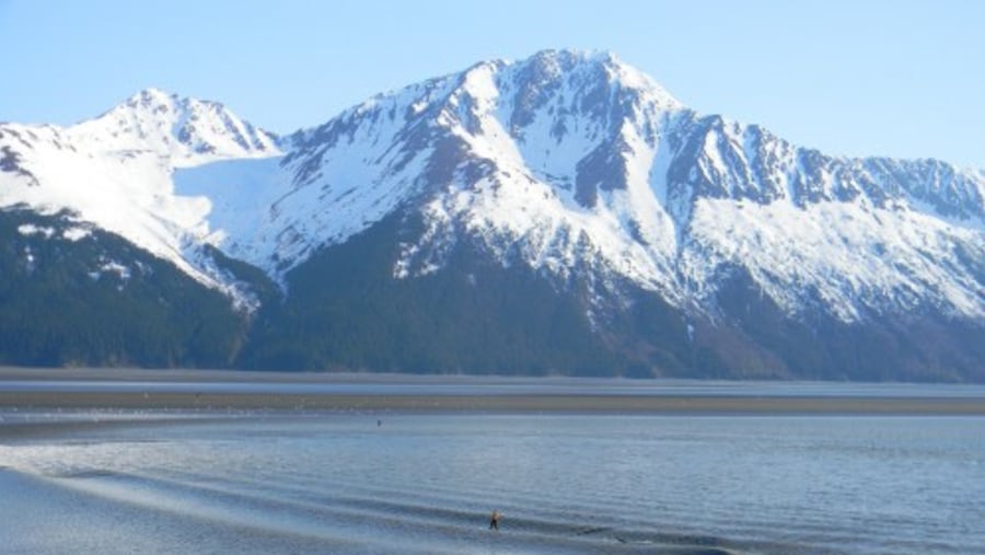 Mountains of Alaska