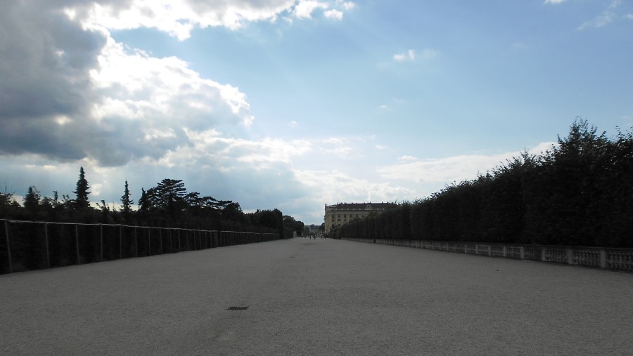 Schonbrunn Garden