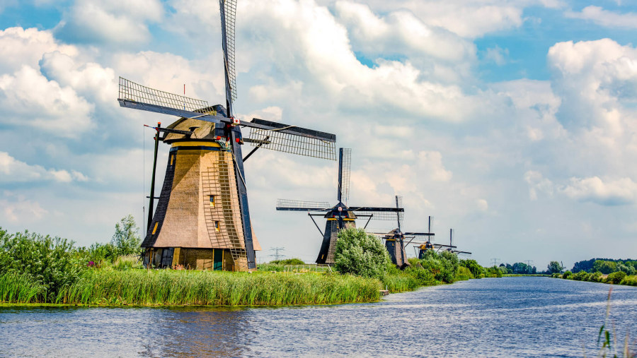 Kinderdijk windmills