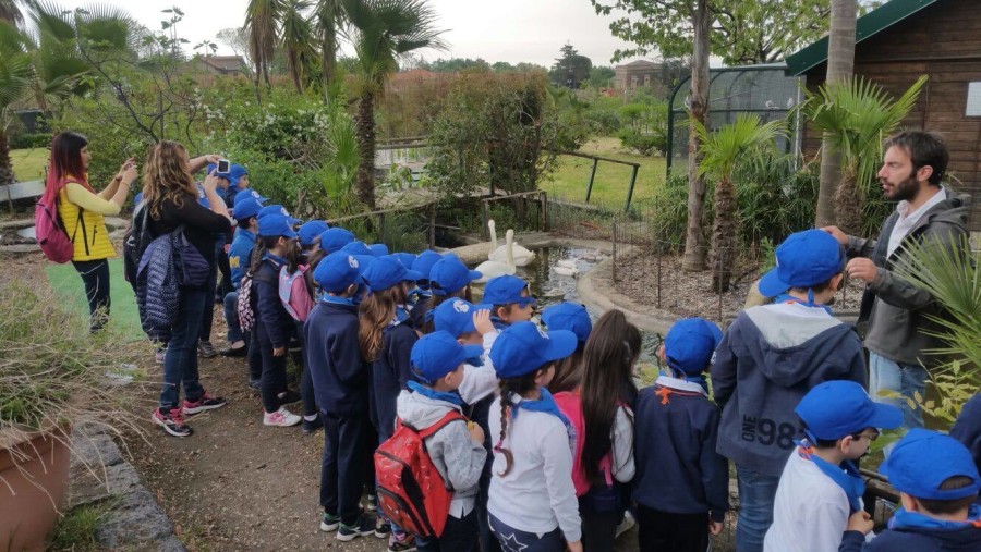 Children on an educational tour around the farm