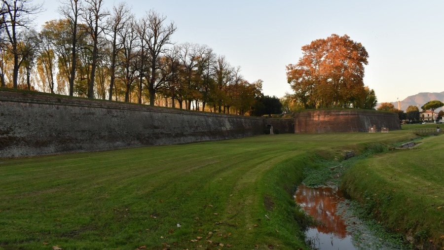 Visit the Wall of Lucca