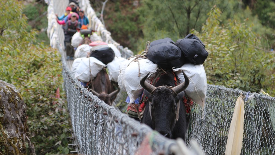 Everest Base Camp Trekking